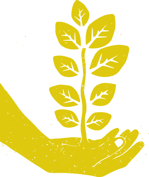 udvikling
